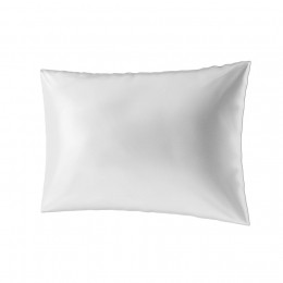 AiloriaBEAUTYSLEEP50X70Zijdenkussensloop