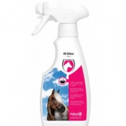 ExcellentHiGlossSpray250ml