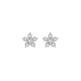 CHRISTOorknopjes87328988