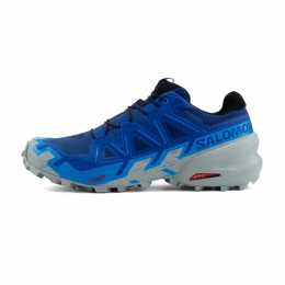 SalomonSpeedcross6GTXHeren