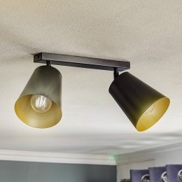 EMIBIGLIGHTINGPlafondspotPrism2-lampszwartgoud