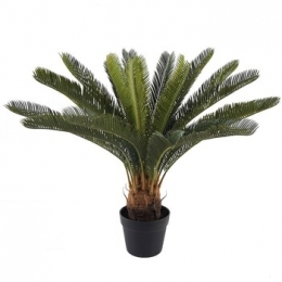 KunstplantenSignesGrimaltCica-Plant