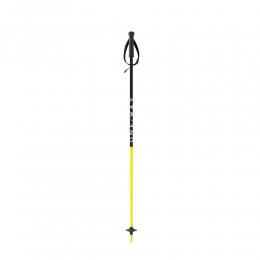 FischerJunior