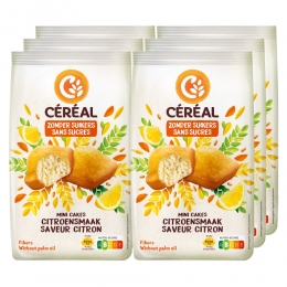 6xCralMiniCakesCitroen196gr