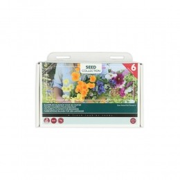 BuzzyCollectionKweekset6KleurrijkeBloemenVoorDeStarter1set