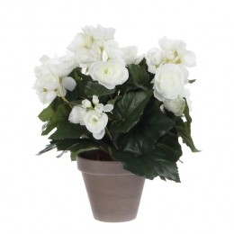 MicaDecorationsBegoniaKunstplant-H30x25cm-Wit