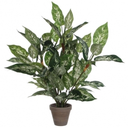 MicaDecorationsDieffenbachiaKunstplant-H70x55cm-Groen
