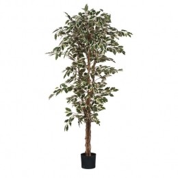 MicaDecorationsFicusKunstplant-H180x90cm-GroenBont