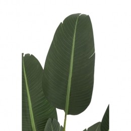 J-LineplantStrelitzia-kunststof-groen-medium