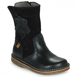 LaarzenElNaturalistaNASHVILLE