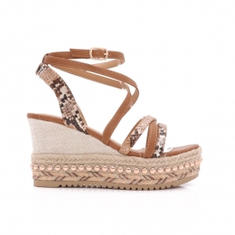 ErynnCindySleehakkenCamel