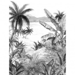FotobehangPalmZwart