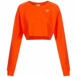 GymsharkTrainingDamesCroppedsweaterGLPO4713-SOG