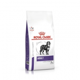 RoyalCaninDogLargeDogAdultDry13kg