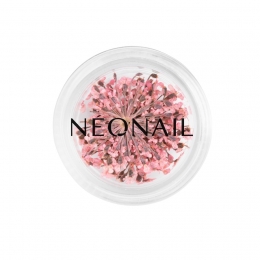 NEONAILTheMuseinYouCollection