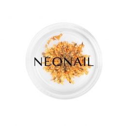NEONAILTheMuseinYouCollection