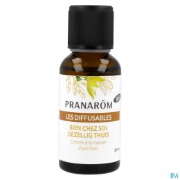 PranarmLesDiffusablesGezelligThuisBio30ml