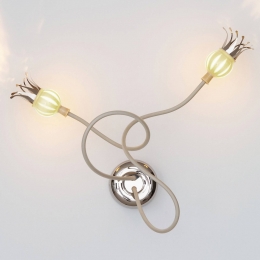 SerienLightingDesignerwandlampPoppymetbijzonderebloemen