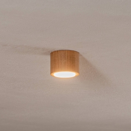 EnvostarErnestDownlightGX53vanhoutrond