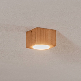 EnvostarErnestDownlightGX53vanhouthoekig
