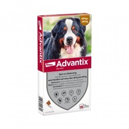 AdvantixSpotOn600AntiVlooienenTekenDruppelsHond40-60kg4pipetten