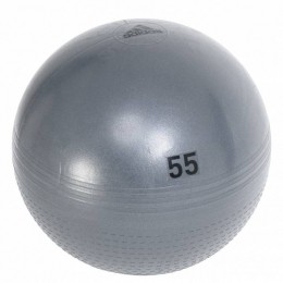 adidasGymbal55cmCK6273