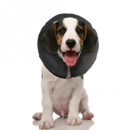 ZenpetProcollarXs