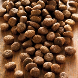 alsa-natureSensigonEendAardappelgranenvrij6kg