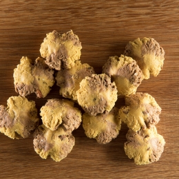 alsa-natureLam-Friesen-daalders250g