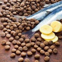 alsa-natureHaringAardappelgranenvrij15kg