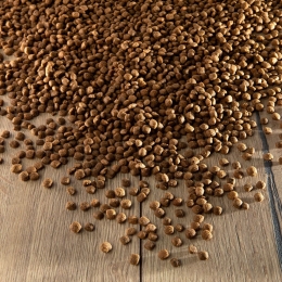 alsa-natureGevoeligPaardAardappel6kg