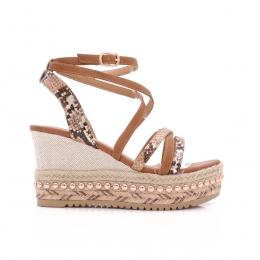 ErynnCindySleehakkenCamel