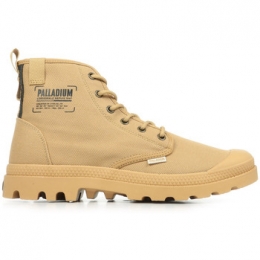 LaarzenPalladiumPampaMichigan