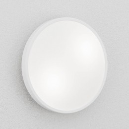 FabasLucePlafond-enwandlampPlaza31cmwit