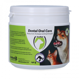 DentalOralCareHondKat