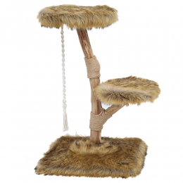 BoonyEst1941KlimboomPrunusGrizzlyBruin85cm