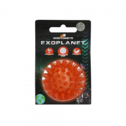DogCometsExoplanetOrangeS