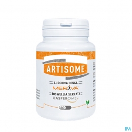 ArtisomeComp60X1000mg