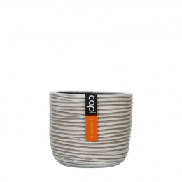 EipotRibI8x65ivoorCapiNature-Capieurope