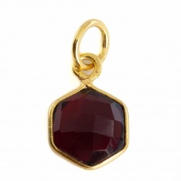 EdelsteenHangerGranaatZeshoek-ZilverVerguld-8mm