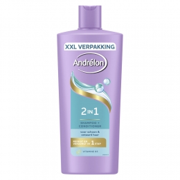 AndrlonShampoo2-in-1685ml