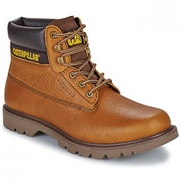 LaarzenCaterpillarCOLORADO20WP