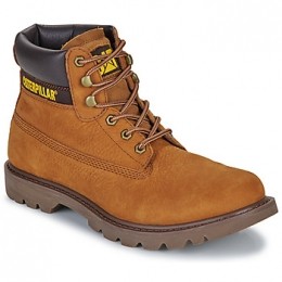 LaarzenCaterpillarCOLORADO20