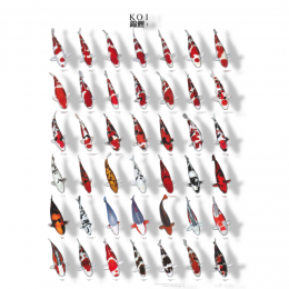 Koiposternr1gelamineerd68x90cmAquadistri-Aquadistri