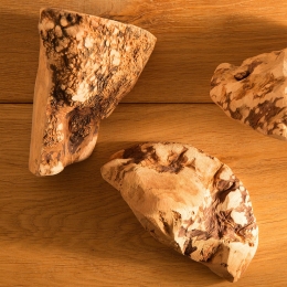 alsa-natureKauwwortelMaat1