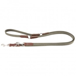 Cloud7HondenriemTivoliolijf