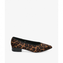 BallerinasStephenAllenZELOK19123-38