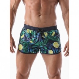 ZwembroekGeronimoZwemshortFruits
