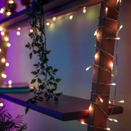 LEDlichtgordijnTwinklyvoorappRGBW