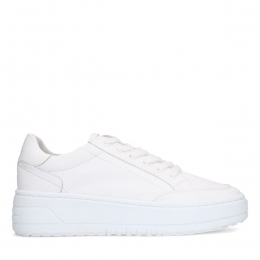 Wittelerensneakers